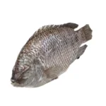 tilapia-gs-500-800-gr-4-kg-659bb99c9fcdf