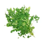 Drumstick Leaves pack