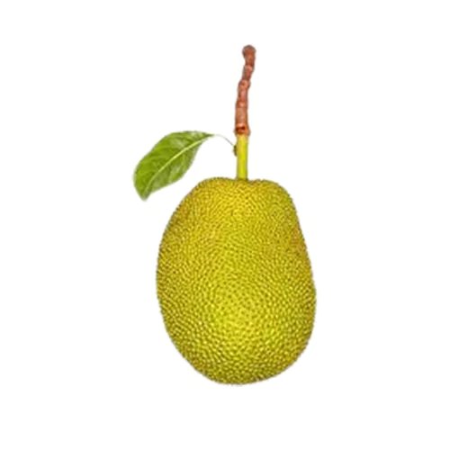 Jack Fruit per kg