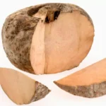 Karunai Kilangu Per Kg