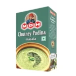 MDH Chutney Podina Masala 100g